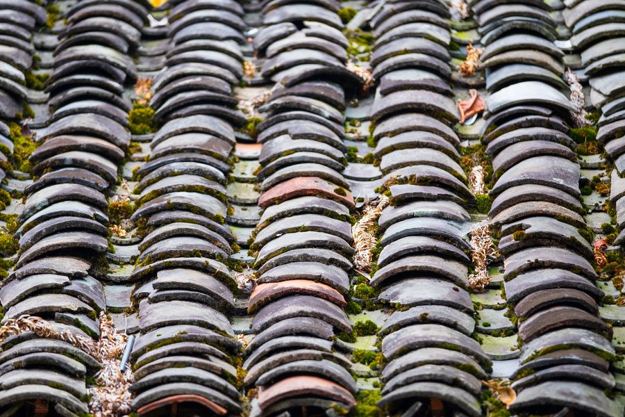 Toiture en tuiles couverte de mousse